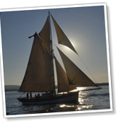 Sea Events skipper